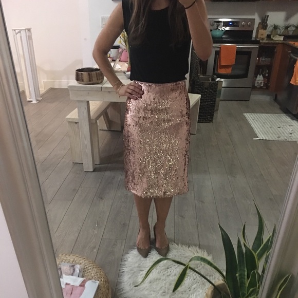 J. Crew Dresses & Skirts - Jcrew Rose Gold Sequin Skirt, Size 0